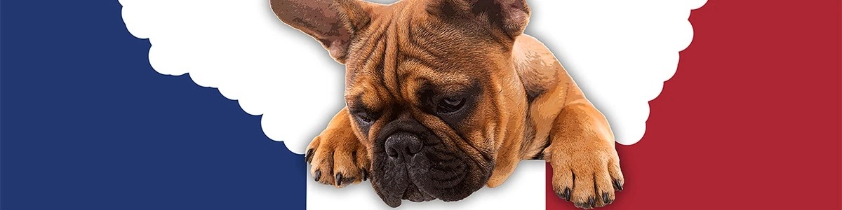 French SEO agency