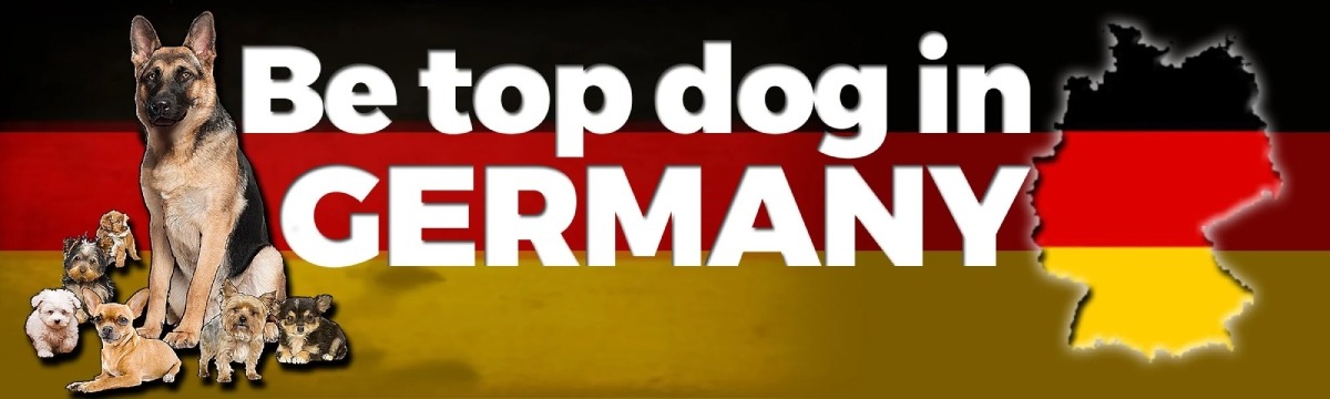 Germany SEO