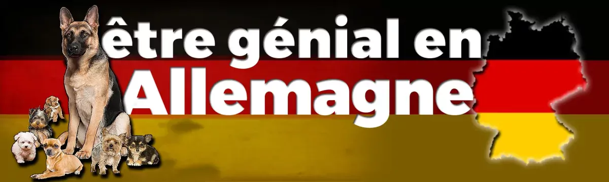 Devenez un as en ALLEMAGNE